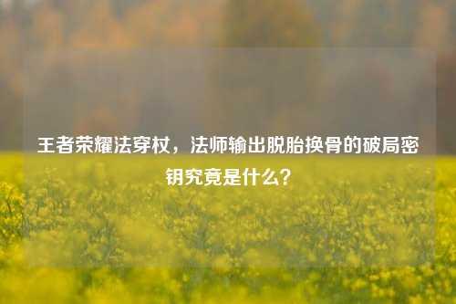 王者荣耀法穿杖，法师输出脱胎换骨的破局密钥究竟是什么？