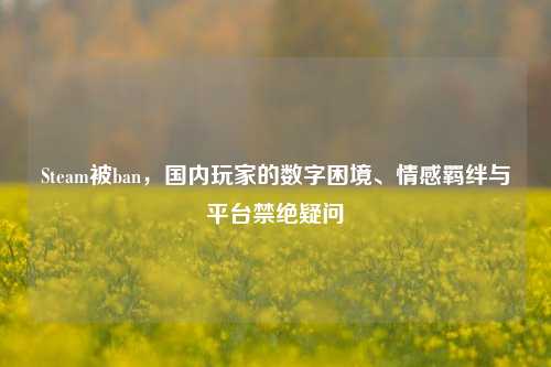 Steam被ban,国内玩家的数字困境、情感羁绊与平台禁绝疑问