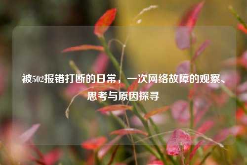被502报错打断的日常,一次网络故障的观察、思考与原因探寻