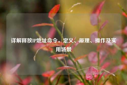 详解释放IP地址命令，定义、原理、操作及实用场景