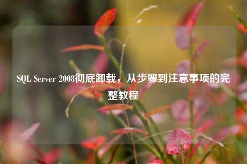 SQL Server 2008彻底卸载,从步骤到注意事项的完整教程
