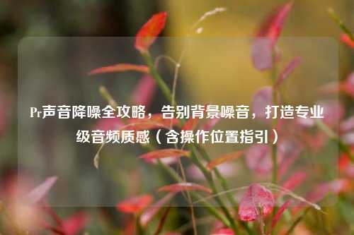 Pr声音降噪全攻略,告别背景噪音,打造专业级音频质感(含操作位置指引)