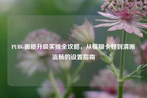 PUBG画质升级实操全攻略,从模糊卡顿到清晰流畅的设置指南