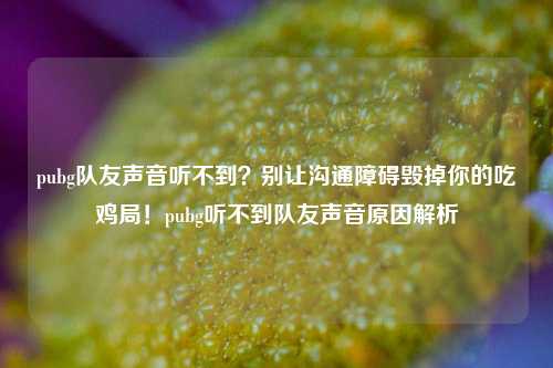pubg队友声音听不到?别让沟通障碍毁掉你的吃鸡局!pubg听不到队友声音原因解析