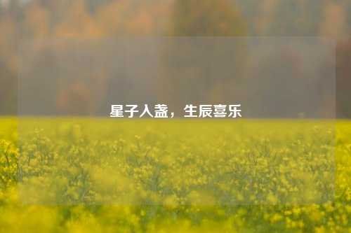 星子入盏,生辰喜乐
