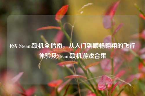 FSX Steam联机全指南,从入门到顺畅翱翔的飞行体验及Steam联机游戏合集