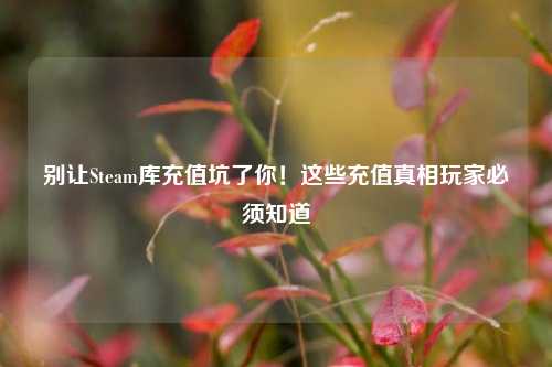 别让Steam库充值坑了你!这些充值真相玩家必须知道