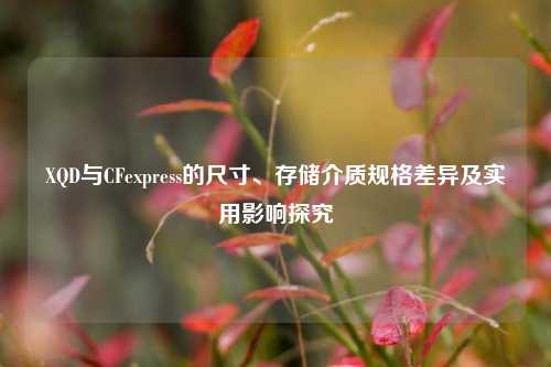 XQD与CFexpress的尺寸、存储介质规格差异及实用影响探究