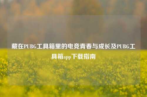 藏在PUBG工具箱里的电竞青春与成长及PUBG工具箱app下载指南