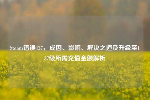 Steam错误137,成因、影响、解决之道及升级至137级所需充值金额解析