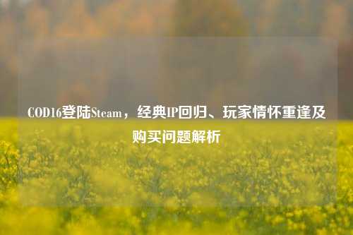 COD16登陆Steam,经典IP回归、玩家情怀重逢及购买问题解析