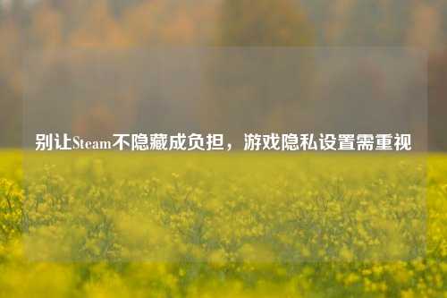别让Steam不隐藏成负担,游戏隐私设置需重视