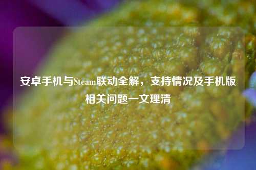 安卓手机与Steam联动全解,支持情况及手机版相关问题一文理清