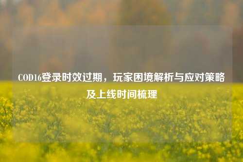 COD16登录时效过期,玩家困境解析与应对策略及上线时间梳理