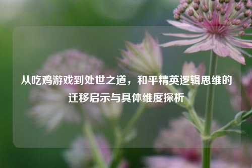 从吃鸡游戏到处世之道,和平精英逻辑思维的迁移启示与具体维度探析