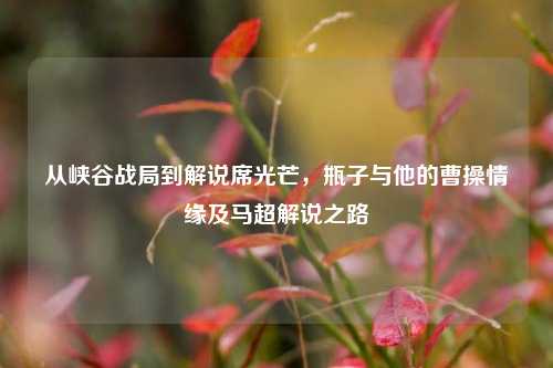 从峡谷战局到解说席光芒,瓶子与他的曹操情缘及马超解说之路