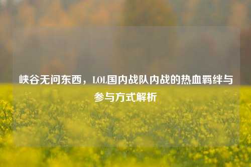 峡谷无问东西，LOL国内战队内战的热血羁绊与参与方式解析