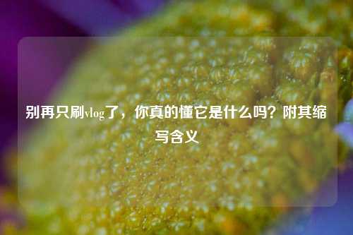 别再只刷vlog了,你真的懂它是什么吗?附其缩写含义