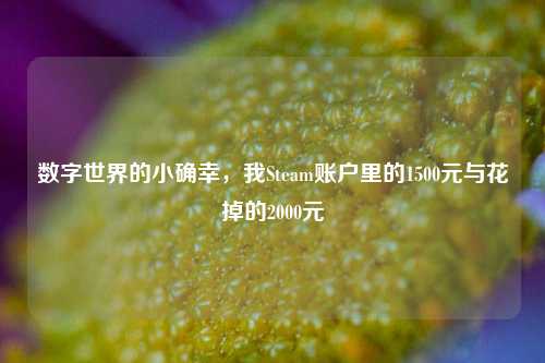 数字世界的小确幸,我Steam账户里的1500元与花掉的2000元