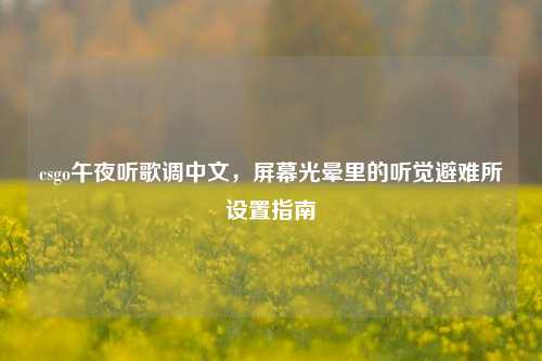 csgo午夜听歌调中文，屏幕光晕里的听觉避难所设置指南