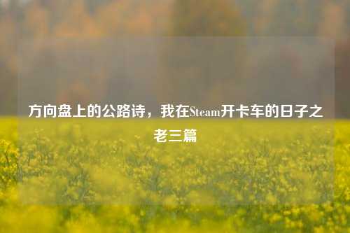 方向盘上的公路诗,我在Steam开卡车的日子之老三篇