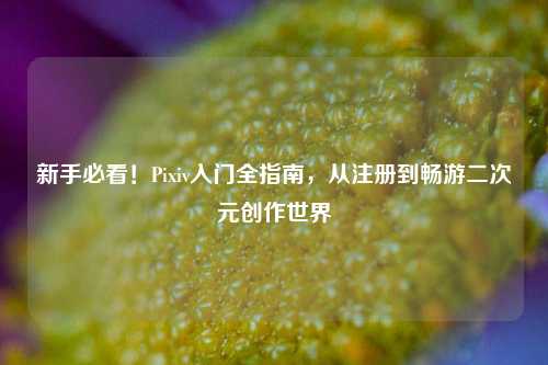 新手必看!Pixiv入门全指南,从注册到畅游二次元创作世界