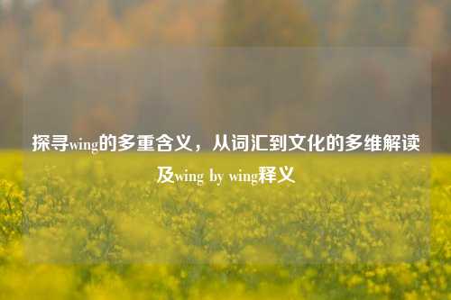 探寻wing的多重含义,从词汇到文化的多维解读及wing by wing释义