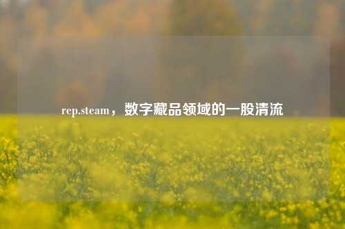 rep.steam,数字藏品领域的一股清流