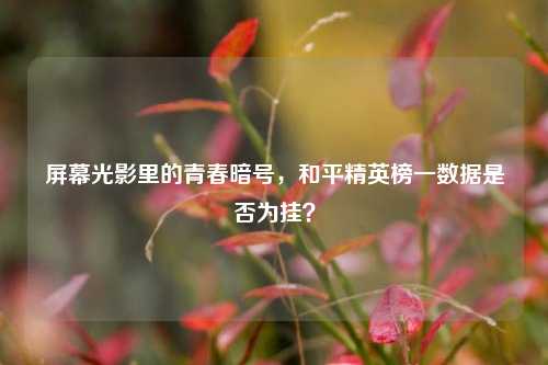 屏幕光影里的青春暗号，和平精英榜一数据是否为挂？