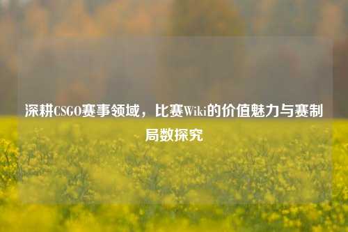 深耕CSGO赛事领域,比赛Wiki的价值魅力与赛制局数探究