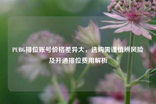 PUBG排位账号价格差异大，选购需谨慎辨风险及开通排位费用解析