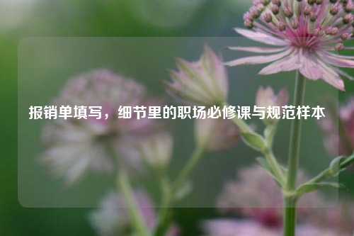 报销单填写,细节里的职场必修课与规范样本