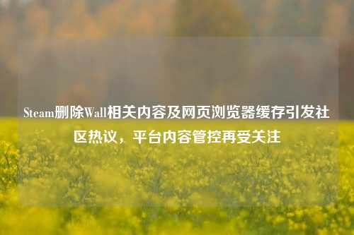 Steam删除Wall相关内容及网页浏览器缓存引发社区热议,平台内容管控再受关注