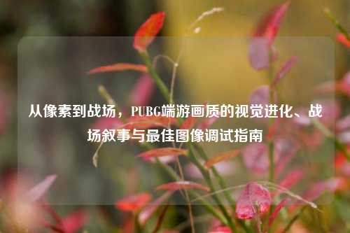 从像素到战场,PUBG端游画质的视觉进化、战场叙事与最佳图像调试指南