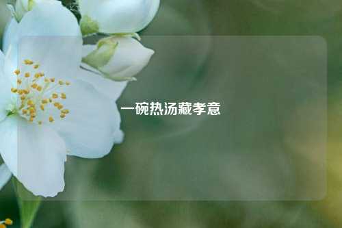 一碗热汤藏孝意