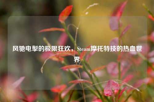 风驰电掣的极限狂欢,Steam摩托特技的热血世界
