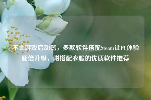 不止游戏启动器，多款软件搭配Steam让PC体验翻倍升级，附搭配衣服的优质软件推荐