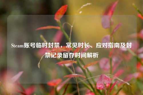 Steam账号临时封禁,常见时长、应对指南及封禁记录留存时间解析