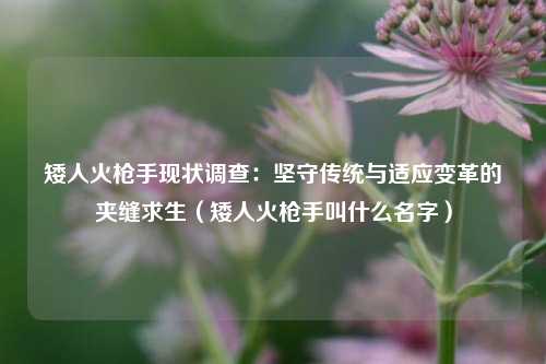 矮人火枪手现状调查:坚守传统与适应变革的夹缝求生(矮人火枪手叫什么名字)