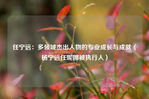 任宁远:多领域杰出人物的专业成长与成就(杨宁远任妮娜被执行人)