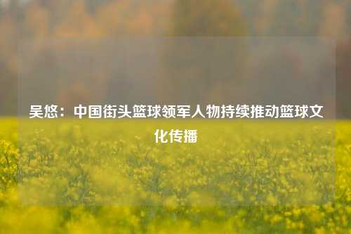 吴悠:中国街头篮球领军人物持续推动篮球文化传播