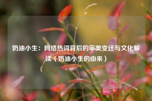 奶油小生:网络热词背后的审美变迁与文化解读(奶油小生的由来)