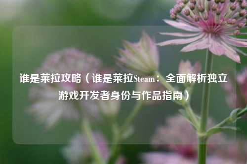谁是莱拉攻略(谁是莱拉Steam:全面解析独立游戏开发者身份与作品指南)