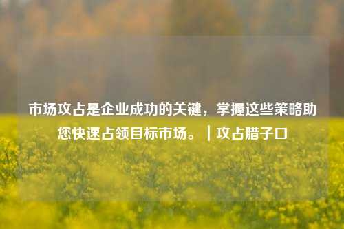 市场攻占是企业成功的关键,掌握这些策略助您快速占领目标市场。|攻占腊子口