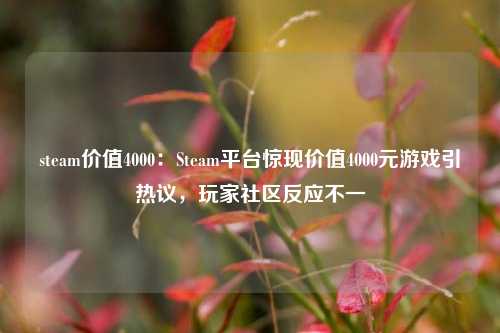 steam价值4000:Steam平台惊现价值4000元游戏引热议,玩家社区反应不一