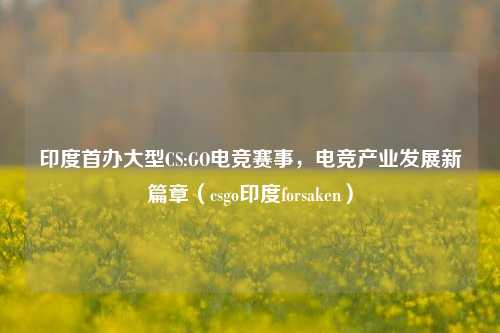 印度首办大型CS:GO电竞赛事，电竞产业发展新篇章（csgo印度forsaken）