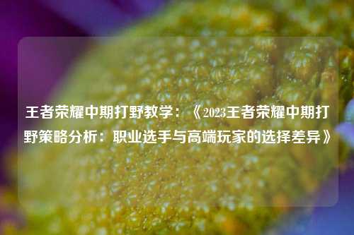 王者荣耀中期打野教学:《2023王者荣耀中期打野策略分析:职业选手与高端玩家的选择差异》