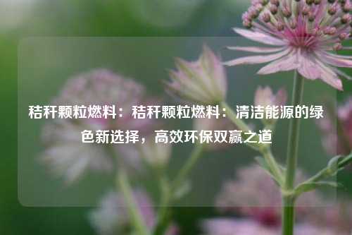 秸秆颗粒燃料：秸秆颗粒燃料：清洁能源的绿色新选择，高效环保双赢之道