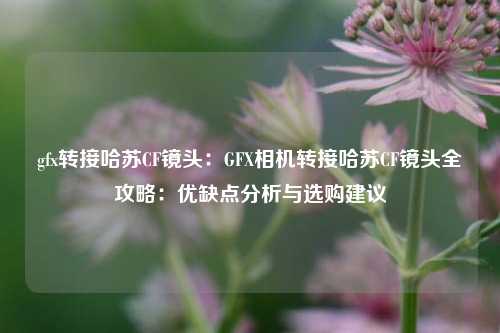 gfx转接哈苏CF镜头：GFX相机转接哈苏CF镜头全攻略：优缺点分析与选购建议