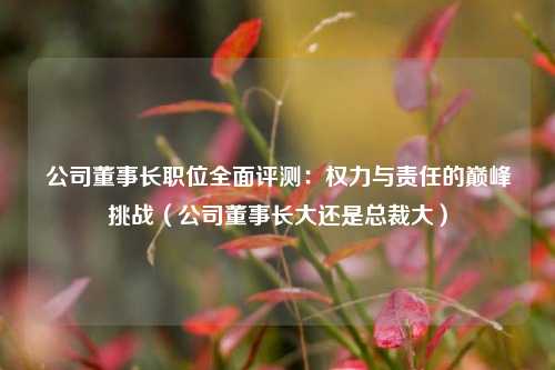 公司董事长职位全面评测:权力与责任的巅峰挑战(公司董事长大还是总裁大)